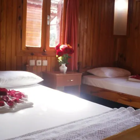 Toll ホテル シダ