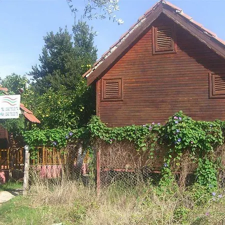 Ξενοδοχείο Toll 2*