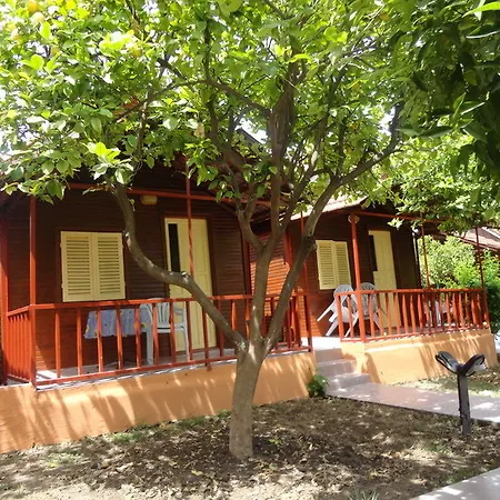 Otel Toll